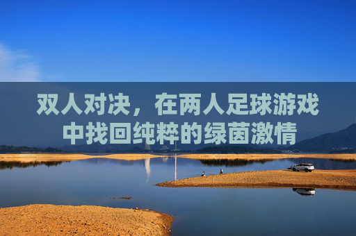 双人对决,在两人足球游戏中找回纯粹的绿茵激情