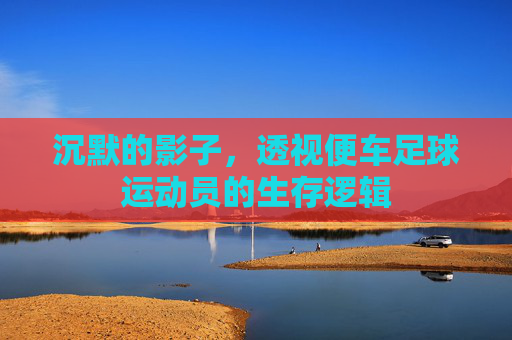 沉默的影子,透视便车足球运动员的生存逻辑