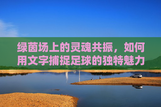 绿茵场上的灵魂共振,如何用文字捕捉足球的独特魅力