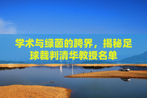 学术与绿茵的跨界，揭秘足球裁判清华教授名单