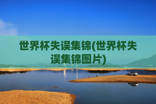 世界杯失误集锦(世界杯失误集锦图片)