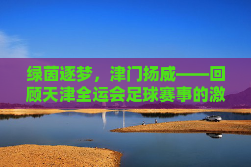 绿茵逐梦,津门扬威——回顾天津全运会足球赛事的激情与荣耀