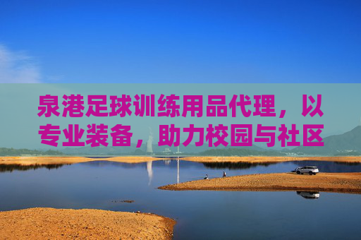 泉港足球训练用品代理,以专业装备,助力校园与社区足球梦之队