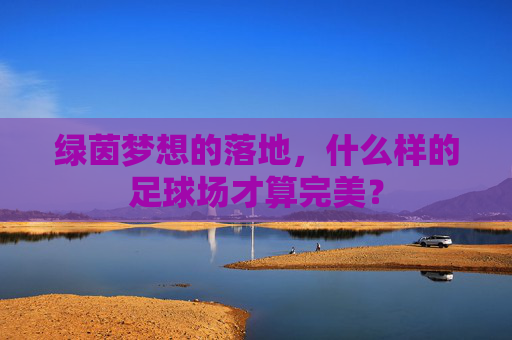 绿茵梦想的落地,什么样的足球场才算完美?