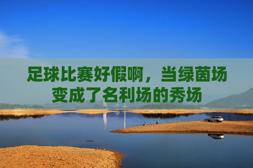 足球比赛好假啊，当绿茵场变成了名利场的秀场