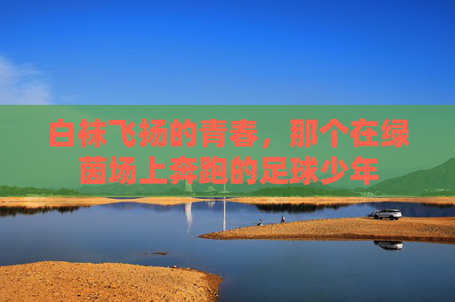 白袜飞扬的青春,那个在绿茵场上奔跑的足球少年