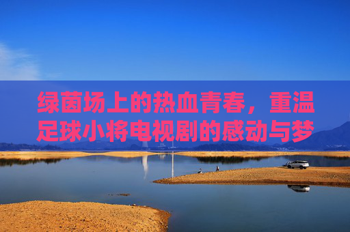 绿茵场上的热血青春，重温足球小将电视剧的感动与梦想