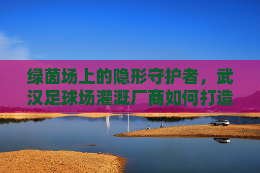 绿茵场上的隐形守护者,武汉足球场灌溉厂商如何打造完美草坪
