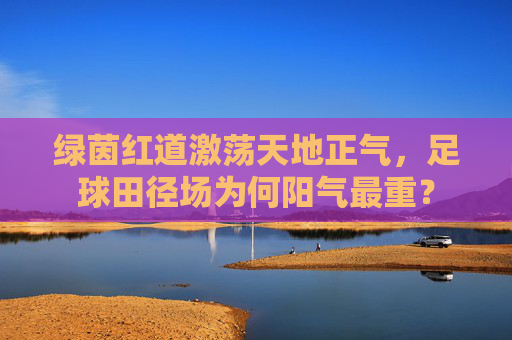 绿茵红道激荡天地正气，足球田径场为何阳气最重？