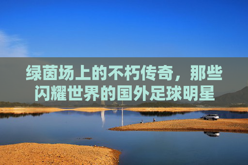 绿茵场上的不朽传奇，那些闪耀世界的国外足球明星