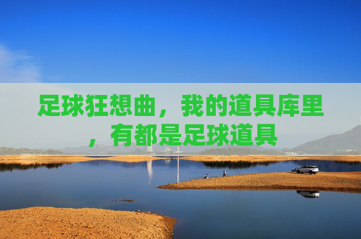 足球狂想曲，我的道具库里，有都是足球道具