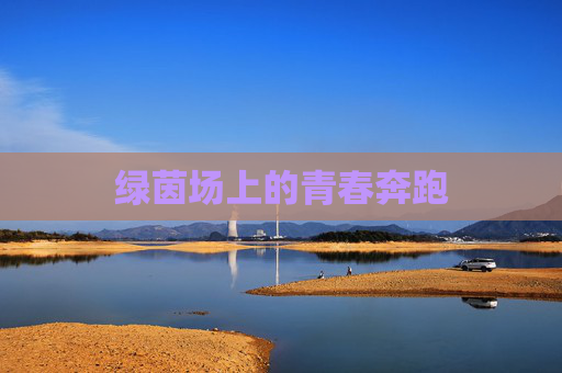 绿茵场上的青春奔跑