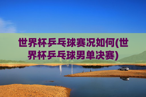 世界杯乒乓球赛况如何(世界杯乒乓球男单决赛)