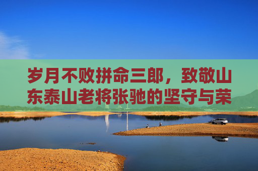 岁月不败拼命三郎，致敬山东泰山老将张驰的坚守与荣光