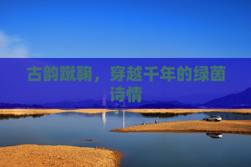 古韵蹴鞠,穿越千年的绿茵诗情
