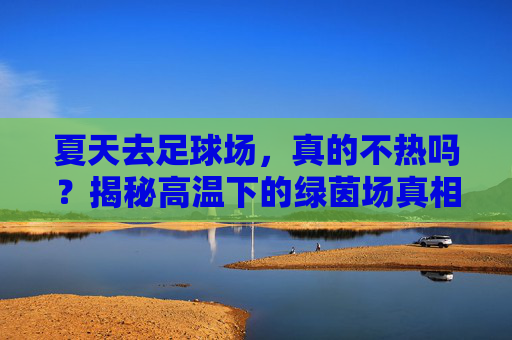 夏天去足球场,真的不热吗?揭秘高温下的绿茵场真相