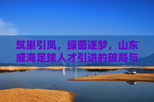 筑巢引凤,绿茵逐梦,山东威海足球人才引进的破局与新生