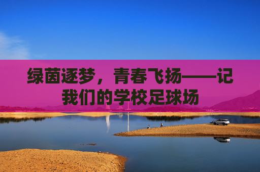 绿茵逐梦，青春飞扬——记我们的学校足球场