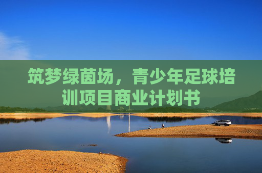 筑梦绿茵场，青少年足球培训项目商业计划书