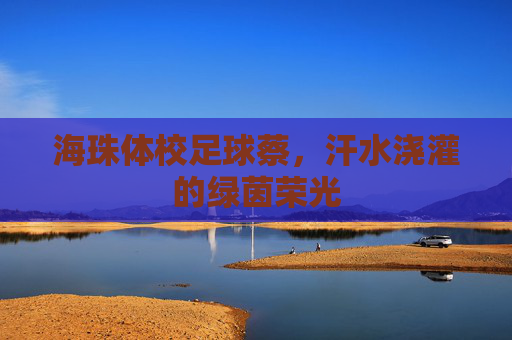 海珠体校足球蔡，汗水浇灌的绿茵荣光