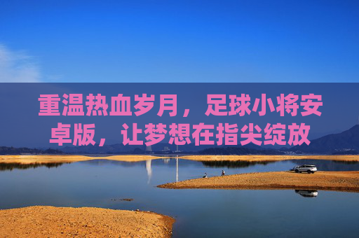 重温热血岁月，足球小将安卓版，让梦想在指尖绽放
