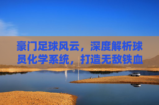 豪门足球风云,深度解析球员化学系统,打造无敌铁血之师