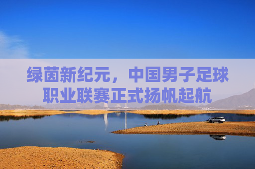 绿茵新纪元,中国男子足球职业联赛正式扬帆起航