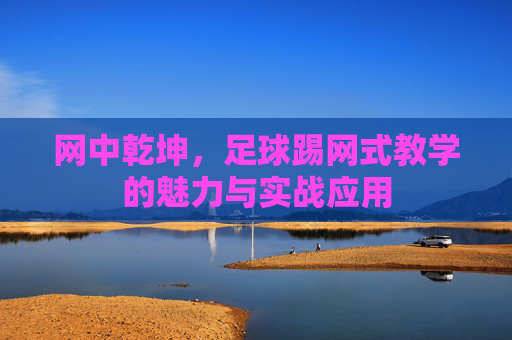 网中乾坤,足球踢网式教学的魅力与实战应用