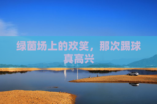 绿茵场上的欢笑,那次踢球真高兴