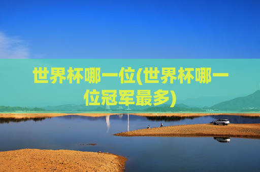 世界杯哪一位(世界杯哪一位冠军最多)