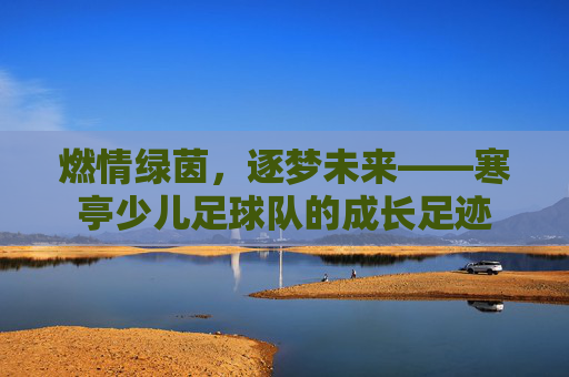 燃情绿茵，逐梦未来——寒亭少儿足球队的成长足迹