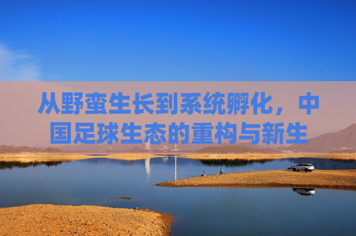 从野蛮生长到系统孵化,中国足球生态的重构与新生
