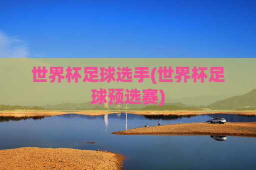 世界杯足球选手(世界杯足球预选赛)
