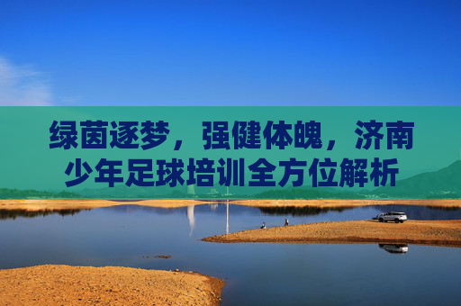 绿茵逐梦,强健体魄,济南少年足球培训全方位解析