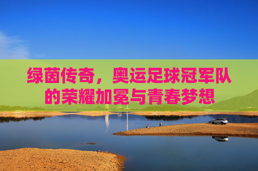 绿茵传奇,奥运足球冠军队的荣耀加冕与青春梦想