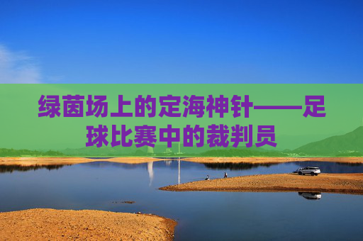 绿茵场上的定海神针——足球比赛中的裁判员