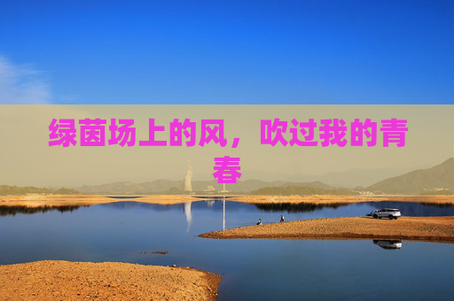绿茵场上的风,吹过我的青春