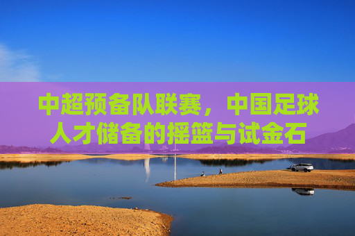 中超预备队联赛,中国足球人才储备的摇篮与试金石