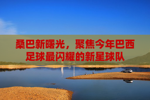 桑巴新曙光,聚焦今年巴西足球最闪耀的新星球队