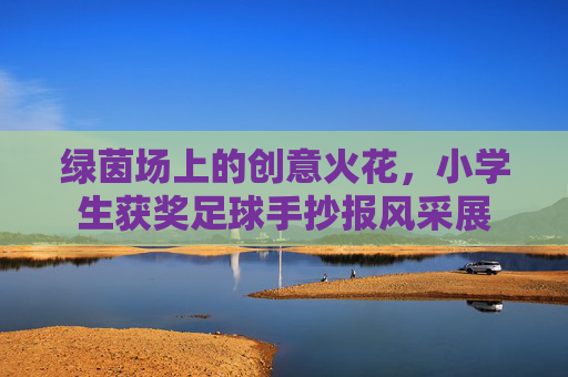 绿茵场上的创意火花,小学生获奖足球手抄报风采展