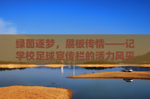 绿茵逐梦，展板传情——记学校足球宣传栏的活力风采