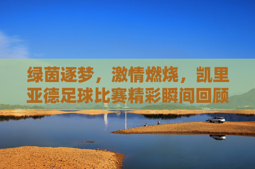 绿茵逐梦,激情燃烧,凯里亚德足球比赛精彩瞬间回顾