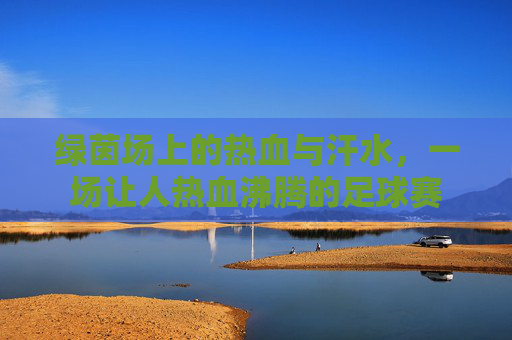 绿茵场上的热血与汗水，一场让人热血沸腾的足球赛