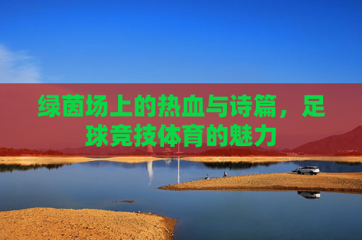 绿茵场上的热血与诗篇,足球竞技体育的魅力
