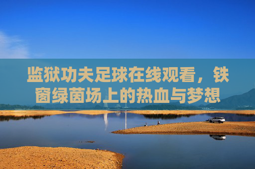 监狱功夫足球在线观看，铁窗绿茵场上的热血与梦想