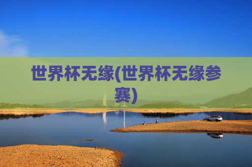 世界杯无缘(世界杯无缘参赛)