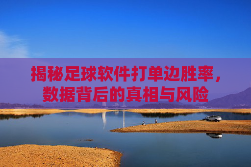 揭秘足球软件打单边胜率,数据背后的真相与风险