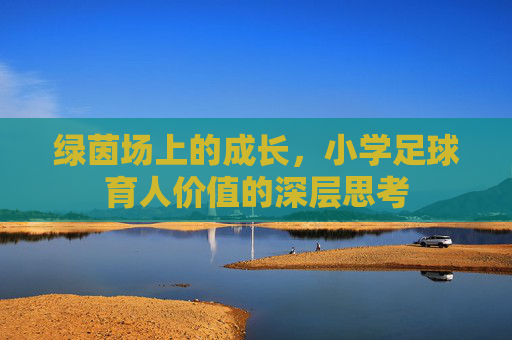 绿茵场上的成长，小学足球育人价值的深层思考