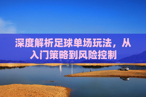 深度解析足球单场玩法，从入门策略到风险控制