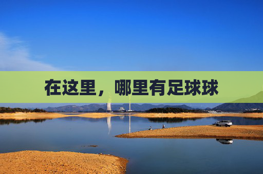在这里,哪里有足球球